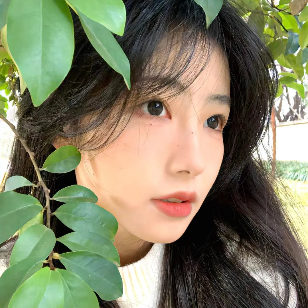 飞鸟集2021