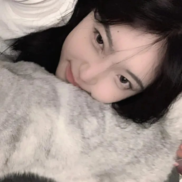 羊群